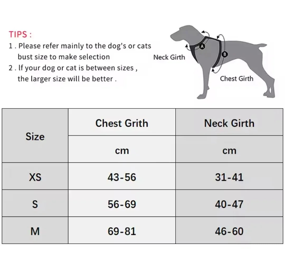BOFFPets Small Dog Harness - green-2 / M