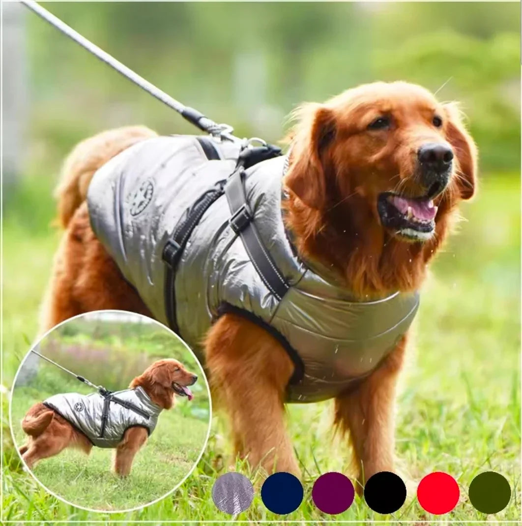 Sports Warm Dog Harness Coat - 3 Extra Large / Black
