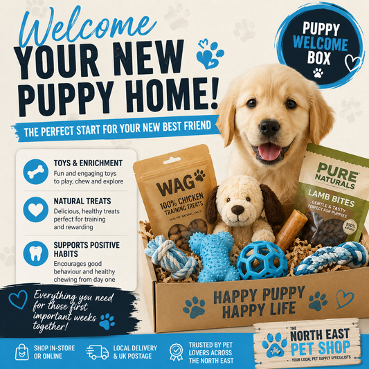 Puppy Welcome Home Box - Girl