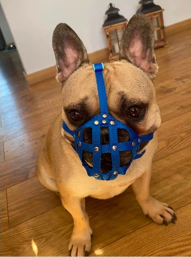 Dog Muzzle for French Bulldog "Frenchies" a Other similar snouts short snout - Blue / 0