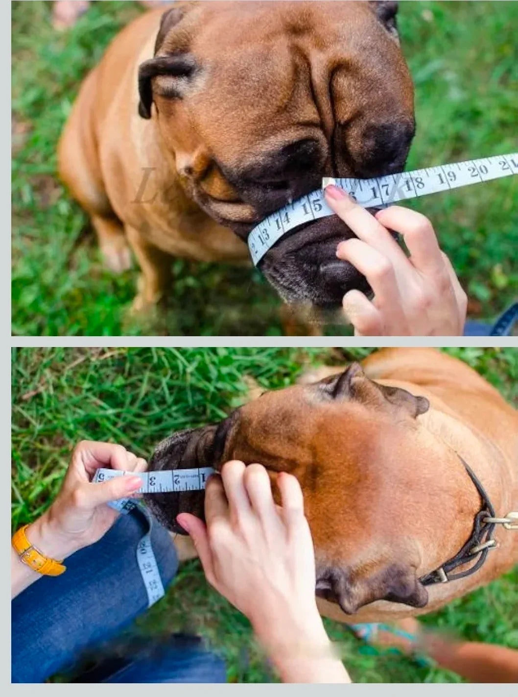 Dog Muzzle for French Bulldog "Frenchies" a Other similar snouts short snout - Pink / 0