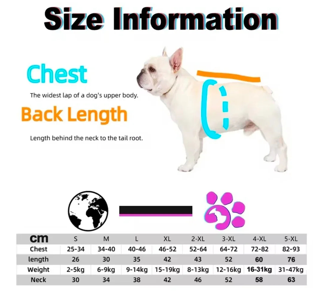 Dog Shack Flash! Dog Coat - large-1