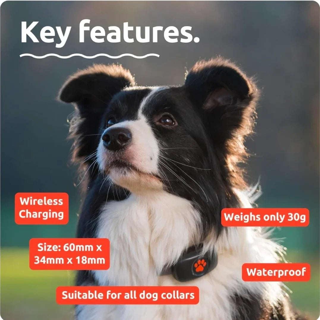PitPat Collar GPS Tracker - green-2