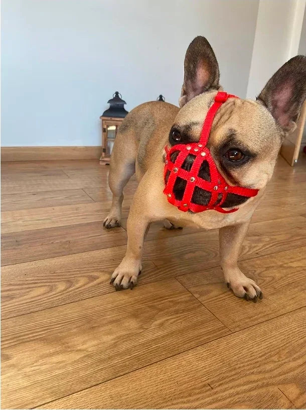 Dog Muzzle for French Bulldog "Frenchies" a Other similar snouts short snout - Black / 2