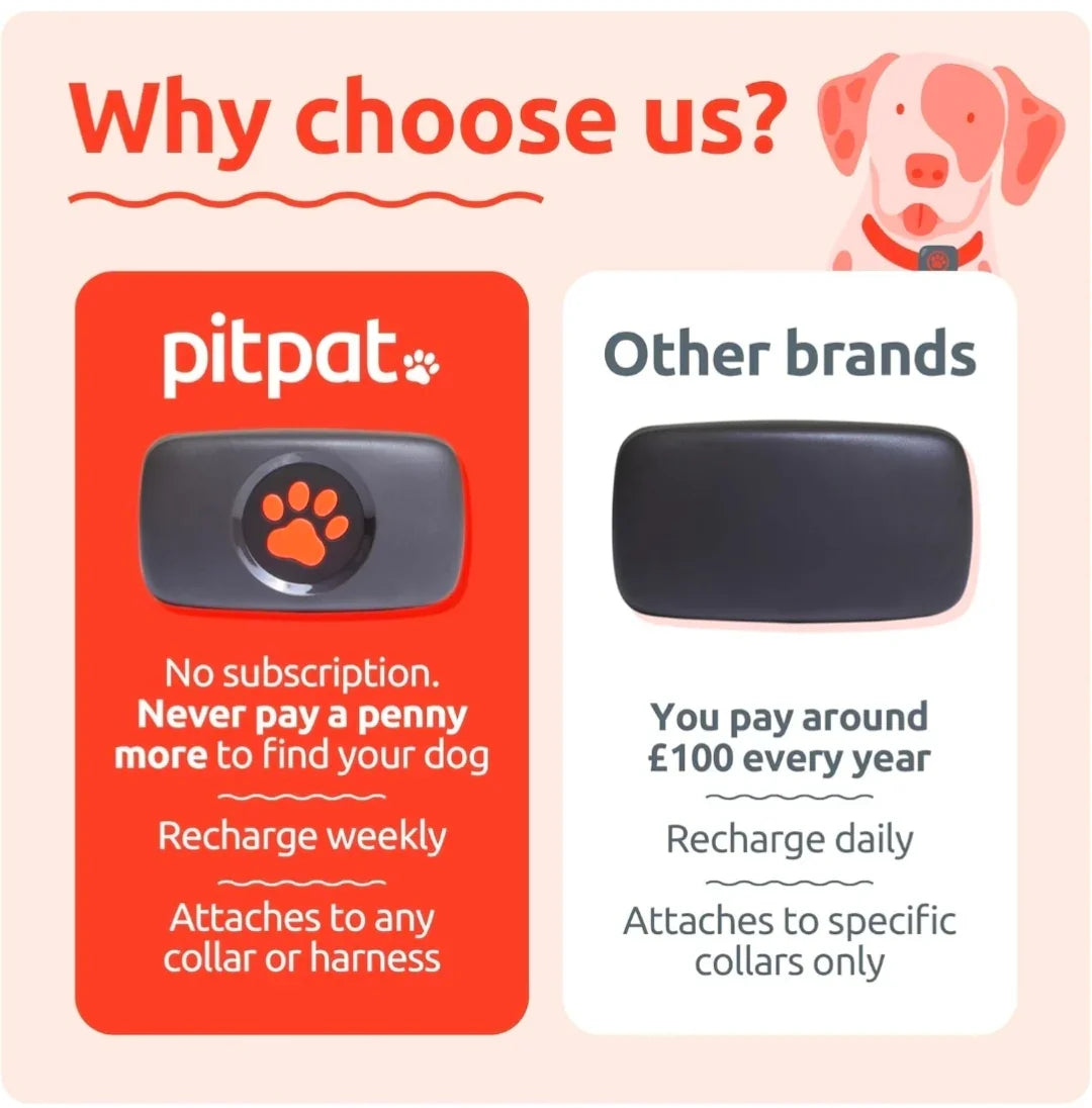PitPat Collar GPS Tracker - blue-1