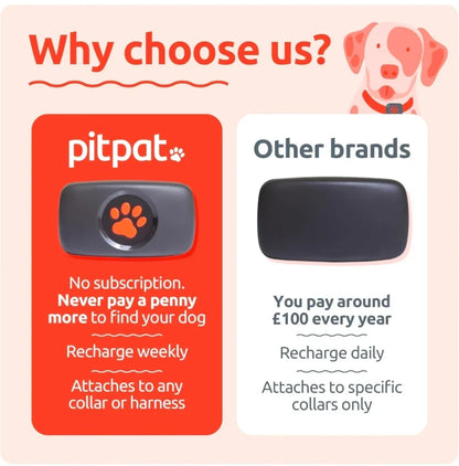 PitPat Collar GPS Tracker - blue-1
