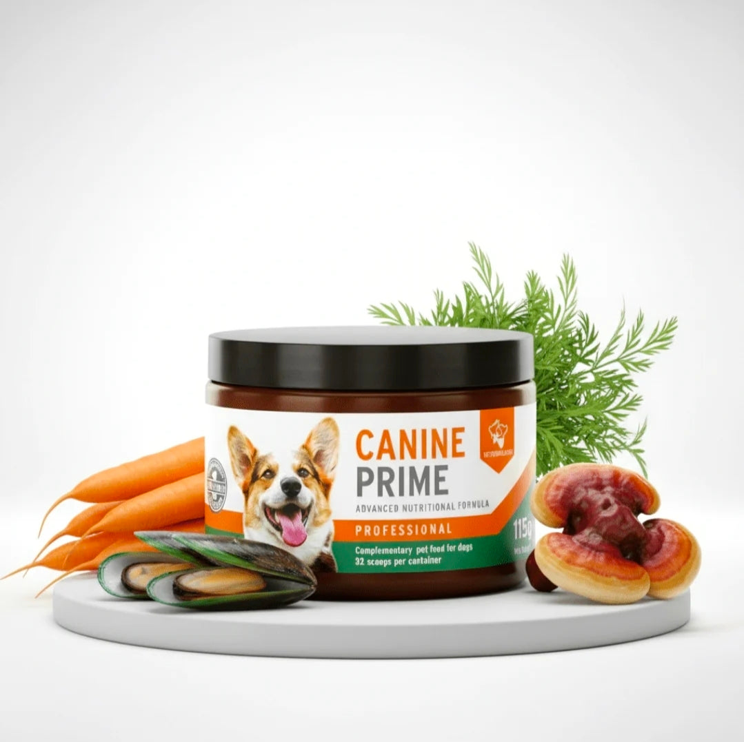 Canine Prime
40-in-1 superfood supplement