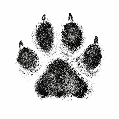 Oh So Precious Paw Print Non-Toxic Ink Pad Standard 12.5cm
