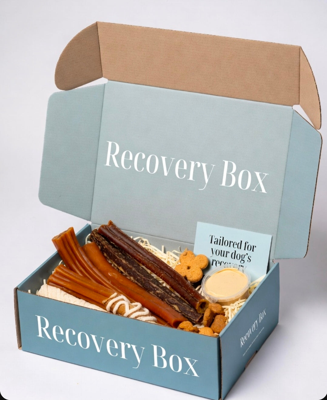 Dog Recovery box - £20