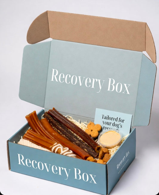 Dog Recovery box - £20