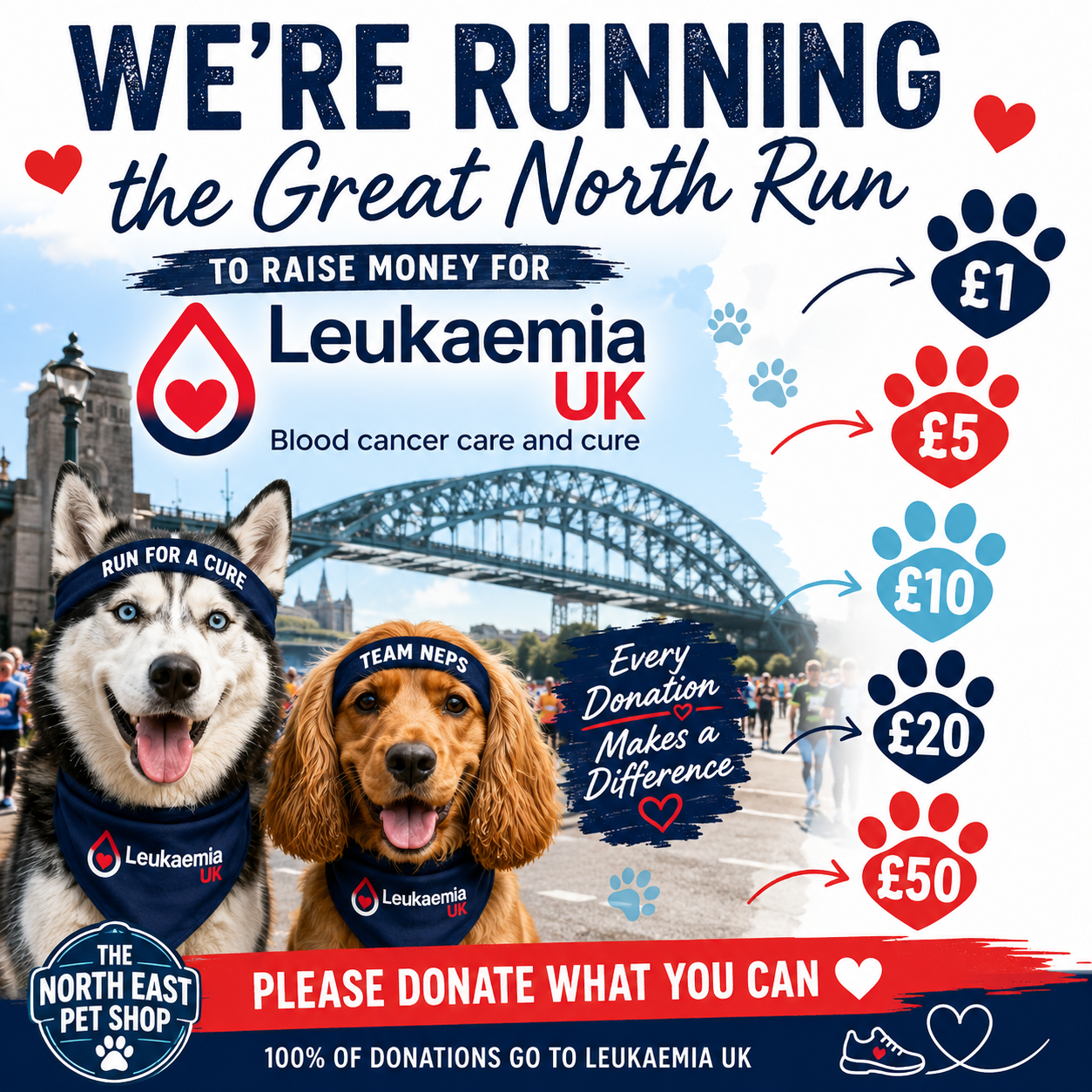 Donation to Leukaemia UK | Great North Run Fundraiser ❤️🏃‍♂️ - £1