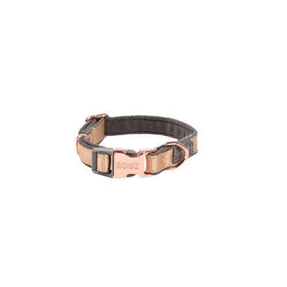 Rogz URBAN Classic Collar Gold Rush - North East Pet Shop Rogz