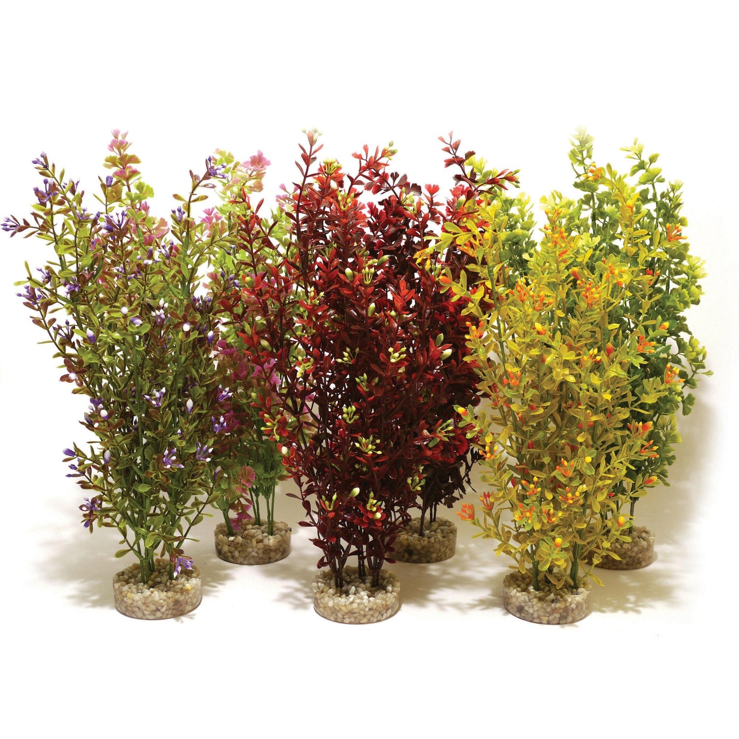 Rosewood Sydeco Cocktail Plant Maxi