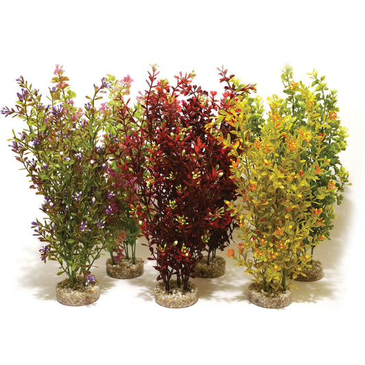 Rosewood Sydeco Cocktail Plant Maxi