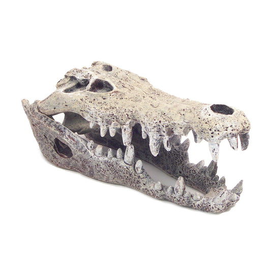 Rosewood Nile Crocodile Small - North East Pet Shop Rosewood