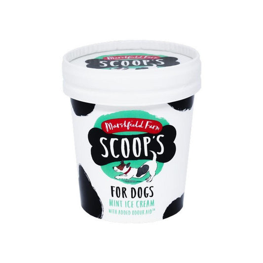 Scoops Mint Ice Cream for Dogs with joint aid supplement 125ml X 24 - North East Pet Shop Scoops