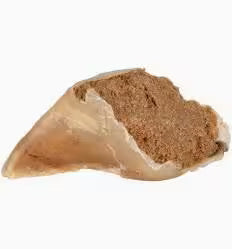 Filled Hoof