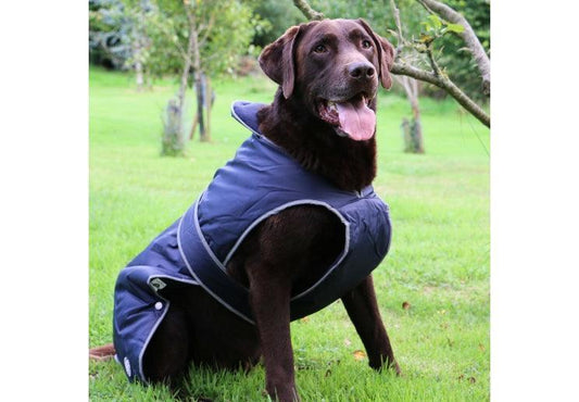 Stormguard Dog Coat Navy L - North East Pet Shop Ancol