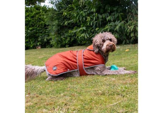 Stormguard Dog Coat Terracotta M - North East Pet Shop Ancol