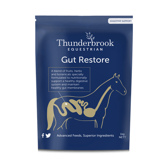 Thunderbrook Gut Restore - North East Pet Shop Thunderbrook