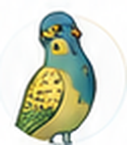 Birds & wildlife illustrated category